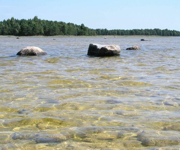 Maakond: Saaremaa Veekogu nimi: Kiljatu järv Pildistamise aeg: 11. august 2004 Pildistaja: H. Timm Pildistamise koht: teadmata Asimuut: