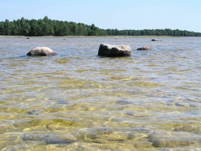 Maakond: Saaremaa Veekogu nimi: Kiljatu järv Pildistamise aeg: 11. august 2004 Pildistaja: H. Timm Pildistamise koht: teadmata Asimuut: