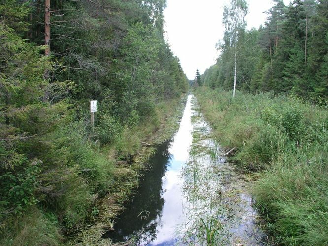 Maakond: Jõgevamaa Veekogu nimi: Koidu kraav Pildistamise aeg: 16. august 2006 Pildistaja: H. Timm Pildistamise koht: Endla LK Asimuut: