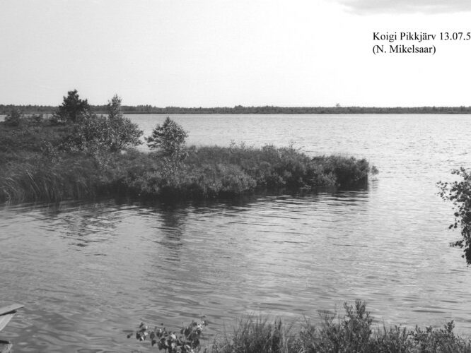 Maakond: Saaremaa Veekogu nimi: Koigi Pikkjärv Pildistamise aeg: 13. juuli 1958 Pildistaja: N. Mikelsaar Pildistamise koht: teadmata Asimuut: