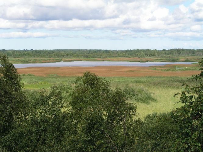 Maakond: Saaremaa Veekogu nimi: Koigi Suurjärv Pildistamise aeg: august 2003 Pildistaja: H. Timm Pildistamise koht: tornist Asimuut: