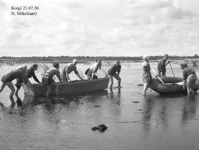 Maakond: Saaremaa Veekogu nimi: Koigi järv Pildistamise aeg: 21. juuli 1956 Pildistaja: N. Mikelsaar Pildistamise koht: rahvas paatidega Asimuut: