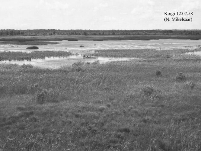 Maakond: Saaremaa Veekogu nimi: Koigi järv Pildistamise aeg: 12. juuli 1958 Pildistaja: N. Mikelsaar Pildistamise koht: teadmata Asimuut: