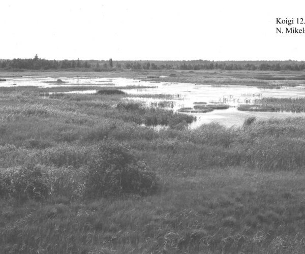 Maakond: Saaremaa Veekogu nimi: Koigi järv Pildistamise aeg: 12. juuli 1958 Pildistaja: N. Mikelsaar Pildistamise koht: teadmata Asimuut: