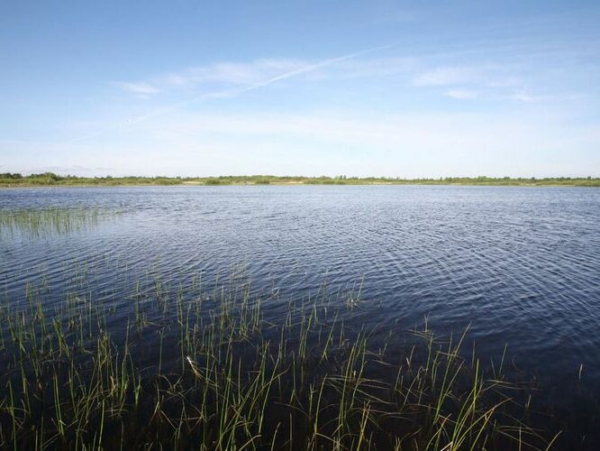 Maakond: Saaremaa Veekogu nimi: Koigi järv Pildistamise aeg: 26. mai 2009 Pildistaja: H. Timm Pildistamise koht: teadmata Asimuut: