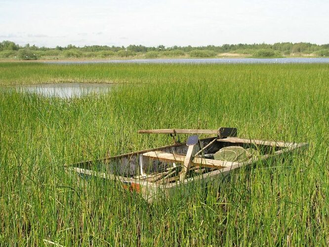 Maakond: Saaremaa Veekogu nimi: Koigi järv Pildistamise aeg: 26. mai 2009 Pildistaja: H. Timm Pildistamise koht: teadmata Asimuut: