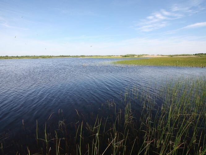 Maakond: Saaremaa Veekogu nimi: Koigi järv Pildistamise aeg: 26. mai 2009 Pildistaja: H. Timm Pildistamise koht: teadmata Asimuut: