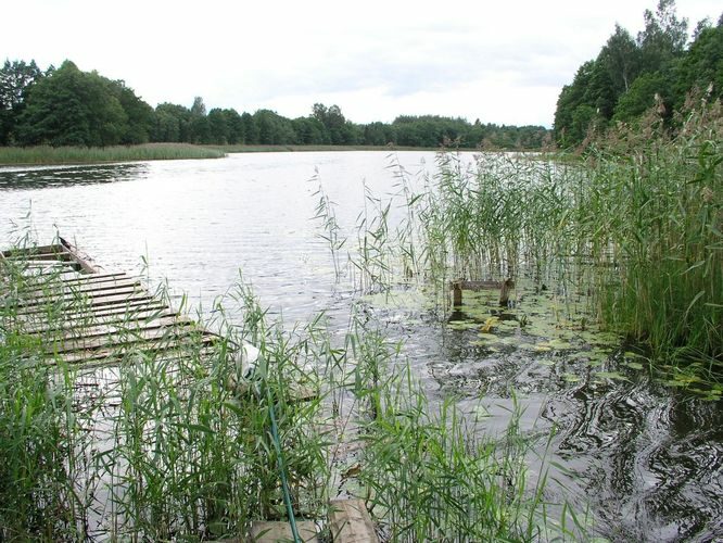 Maakond: Jõgevamaa Veekogu nimi: Kokora Mustjärv Pildistamise aeg: 20. juuli 2007 Pildistaja: H. Timm Pildistamise koht: teadmata Asimuut: