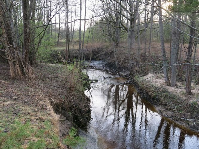 Maakond: Pärnumaa Veekogu nimi: Kolga oja Pildistamise aeg: 9. mai 2013 Pildistaja: H. Timm Pildistamise koht: teadmata Asimuut: