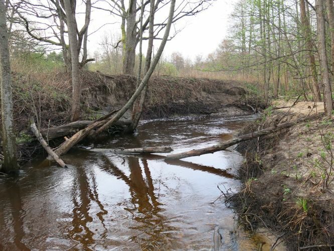 Maakond: Pärnumaa Veekogu nimi: Kolga oja Pildistamise aeg: 9. mai 2013 Pildistaja: H. Timm Pildistamise koht: teadmata Asimuut: