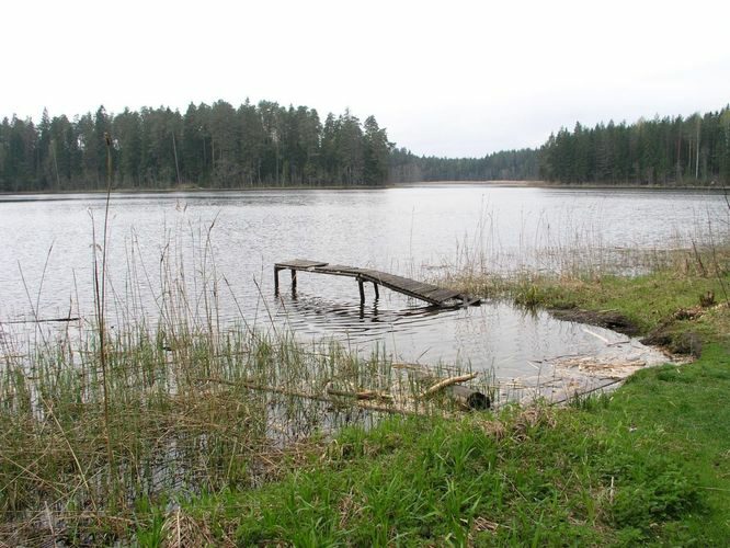 Maakond: Põlvamaa Veekogu nimi: Kooraste Kõverjärv Pildistamise aeg: 16. mai 2005 Pildistaja: H. Timm Pildistamise koht: teadmata Asimuut: