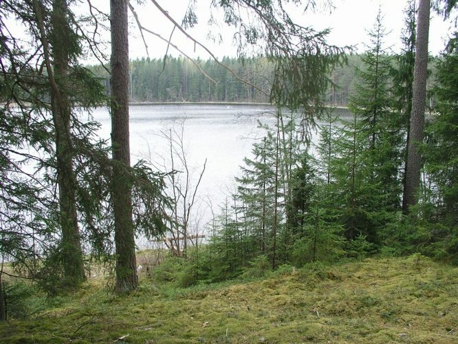 Maakond: Põlvamaa Veekogu nimi: Kooraste Kõverjärv Pildistamise aeg: 16. mai 2005 Pildistaja: H. Timm Pildistamise koht: teadmata Asimuut: