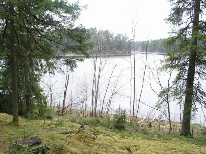 Maakond: Põlvamaa Veekogu nimi: Kooraste Kõverjärv Pildistamise aeg: 16. mai 2005 Pildistaja: H. Timm Pildistamise koht: teadmata Asimuut: