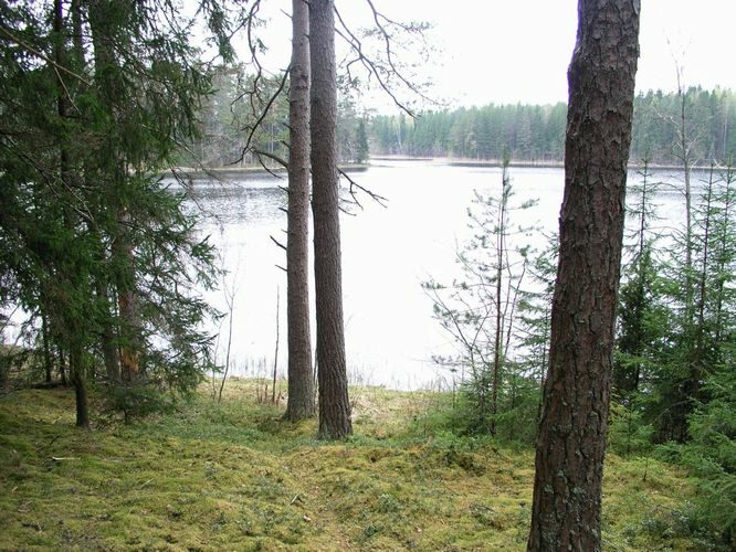 Maakond: Põlvamaa Veekogu nimi: Kooraste Kõverjärv Pildistamise aeg: 16. mai 2005 Pildistaja: H. Timm Pildistamise koht: teadmata Asimuut: