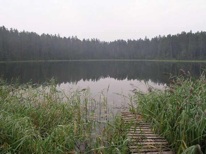 Maakond: Põlvamaa Veekogu nimi: Kooraste Kõverjärv Pildistamise aeg: 3. juuli 2008 Pildistaja: H. Timm Pildistamise koht: teadmata Asimuut: