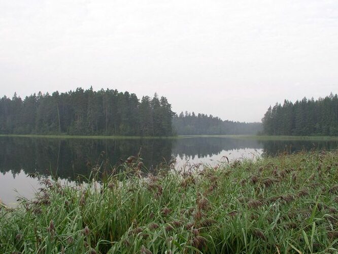 Maakond: Põlvamaa Veekogu nimi: Kooraste Kõverjärv Pildistamise aeg: 3. juuli 2008 Pildistaja: H. Timm Pildistamise koht: teadmata Asimuut: