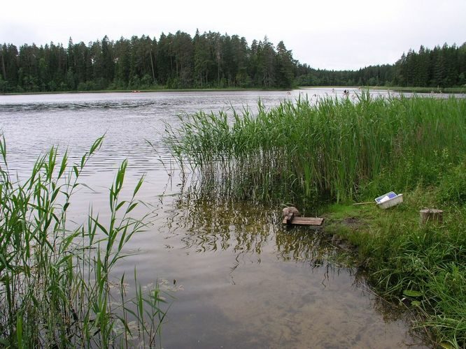 Maakond: Põlvamaa Veekogu nimi: Kooraste Kõverjärv Pildistamise aeg: 3. juuli 2008 Pildistaja: H. Timm Pildistamise koht: teadmata Asimuut: