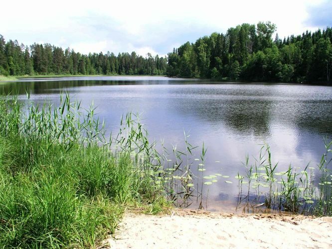 Maakond: Põlvamaa Veekogu nimi: Kooraste Pikkjärv Pildistamise aeg: 30. juuni 2005 Pildistaja: H. Timm Pildistamise koht: teadmata Asimuut: