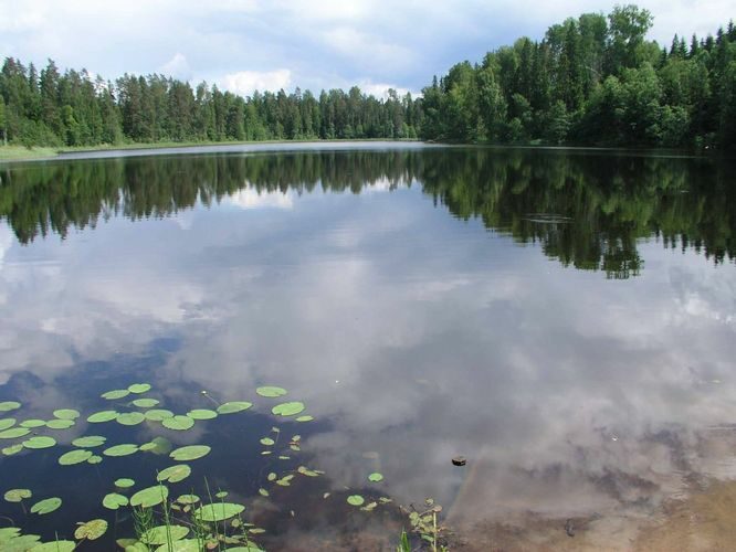 Maakond: Põlvamaa Veekogu nimi: Kooraste Pikkjärv Pildistamise aeg: 30. juuni 2005 Pildistaja: H. Timm Pildistamise koht: teadmata Asimuut: