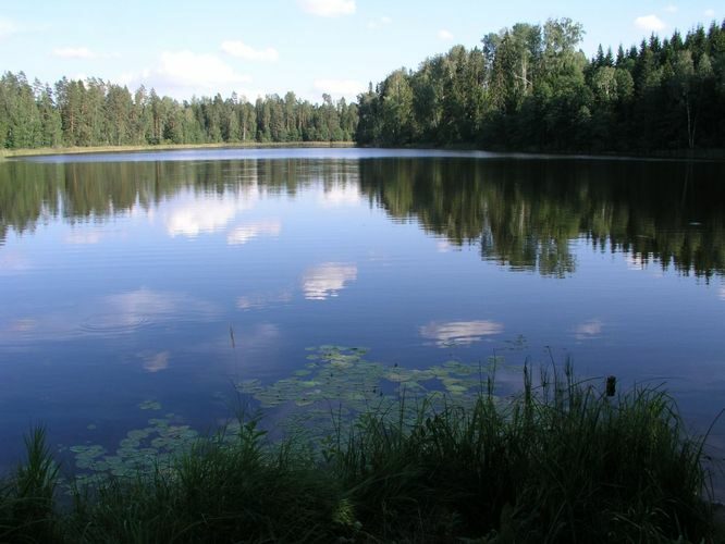 Maakond: Põlvamaa Veekogu nimi: Kooraste Pikkjärv Pildistamise aeg: august 2006 Pildistaja: H. Timm Pildistamise koht: teadmata Asimuut: