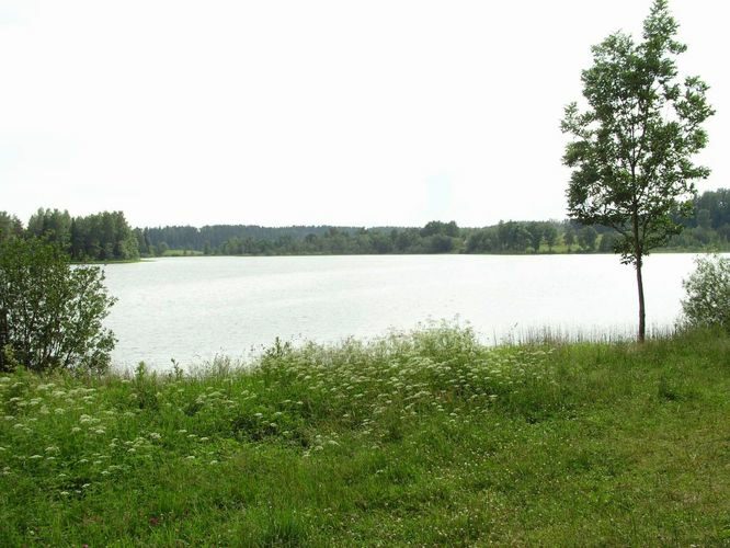 Maakond: Põlvamaa Veekogu nimi: Kooraste Suurjärv Pildistamise aeg: 1. juuli 2004 Pildistaja: H. Timm Pildistamise koht: teadmata Asimuut: