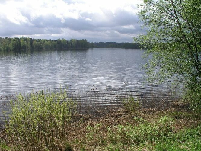 Maakond: Põlvamaa Veekogu nimi: Kooraste Suurjärv Pildistamise aeg: 7. mai 2008 Pildistaja: H. Timm Pildistamise koht: teadmata Asimuut: