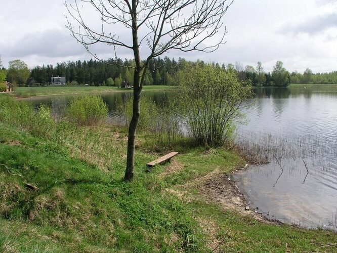 Maakond: Põlvamaa Veekogu nimi: Kooraste Suurjärv Pildistamise aeg: 7. mai 2008 Pildistaja: H. Timm Pildistamise koht: teadmata Asimuut: