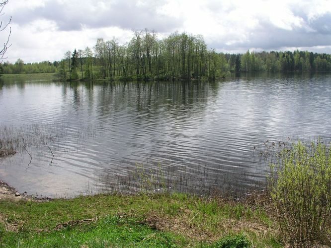 Maakond: Põlvamaa Veekogu nimi: Kooraste Suurjärv Pildistamise aeg: 7. mai 2008 Pildistaja: H. Timm Pildistamise koht: teadmata Asimuut: