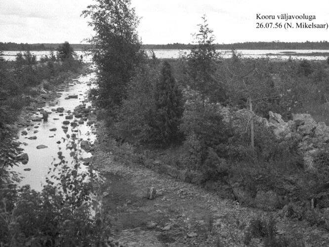 Maakond: Saaremaa Veekogu nimi: Kooru järv Pildistamise aeg: 26. juuli 1958 Pildistaja: N. Mikelsaar Pildistamise koht: NW kaldalt Asimuut: ESE