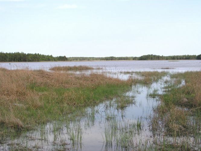 Maakond: Saaremaa Veekogu nimi: Kooru järv Pildistamise aeg: 29. mai 2003 Pildistaja: H. Timm Pildistamise koht: teadmata Asimuut: