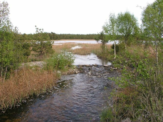 Maakond: Saaremaa Veekogu nimi: Kooru järv Pildistamise aeg: 29. mai 2003 Pildistaja: H. Timm Pildistamise koht: teadmata Asimuut: