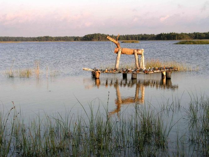 Maakond: Saaremaa Veekogu nimi: Kooru järv Pildistamise aeg: 11. august 2004 Pildistaja: H. Timm Pildistamise koht: teadmata Asimuut: