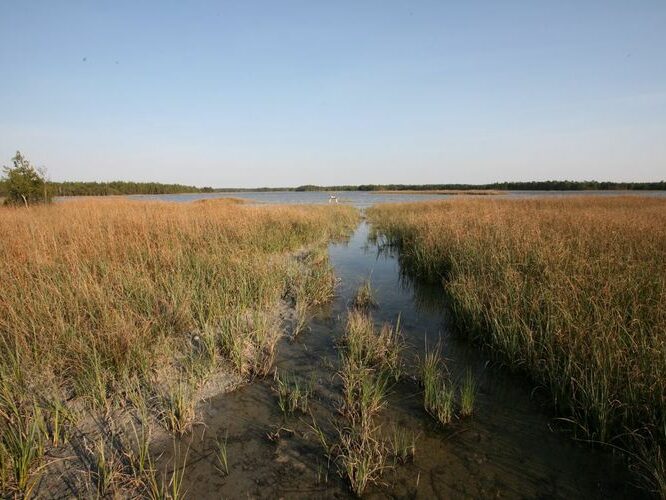 Maakond: Saaremaa Veekogu nimi: Kooru järv Pildistamise aeg: mai 2009 Pildistaja: H. Timm Pildistamise koht: teadmata Asimuut: