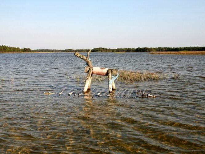 Maakond: Saaremaa Veekogu nimi: Kooru järv Pildistamise aeg: mai 2009 Pildistaja: H. Timm Pildistamise koht: teadmata Asimuut: