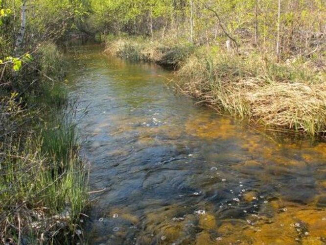 Maakond: Saaremaa Veekogu nimi: Kooru järv Pildistamise aeg: 21. mai 2011 Pildistaja: H. Timm Pildistamise koht: teadmata Asimuut: