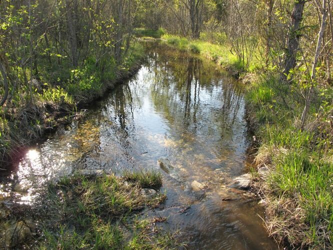 Maakond: Saaremaa Veekogu nimi: Kooru järv Pildistamise aeg: 21. mai 2011 Pildistaja: H. Timm Pildistamise koht: teadmata Asimuut: