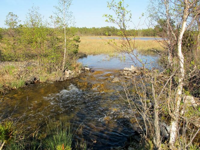 Maakond: Saaremaa Veekogu nimi: Kooru järv Pildistamise aeg: 21. mai 2011 Pildistaja: H. Timm Pildistamise koht: teadmata Asimuut: