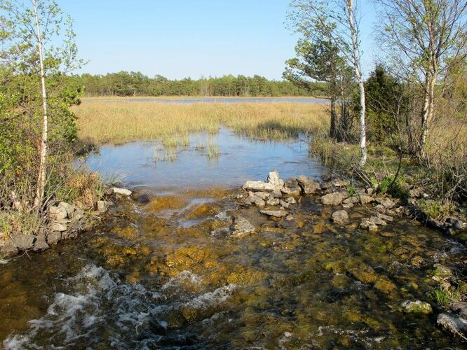 Maakond: Saaremaa Veekogu nimi: Kooru järv Pildistamise aeg: 21. mai 2011 Pildistaja: H. Timm Pildistamise koht: teadmata Asimuut: