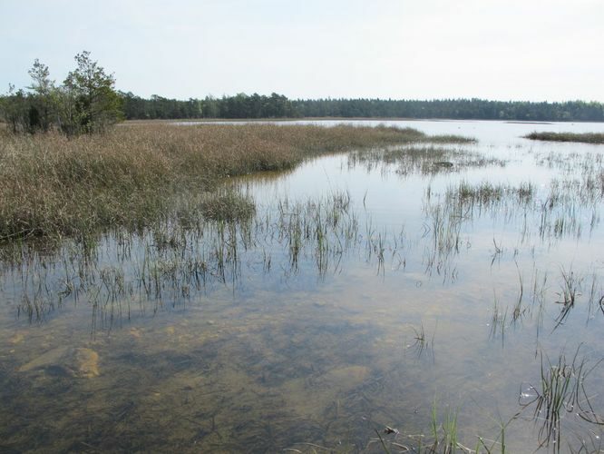 Maakond: Saaremaa Veekogu nimi: Kooru järv Pildistamise aeg: 22. mai 2012 Pildistaja: H. Timm Pildistamise koht: teadmata Asimuut: