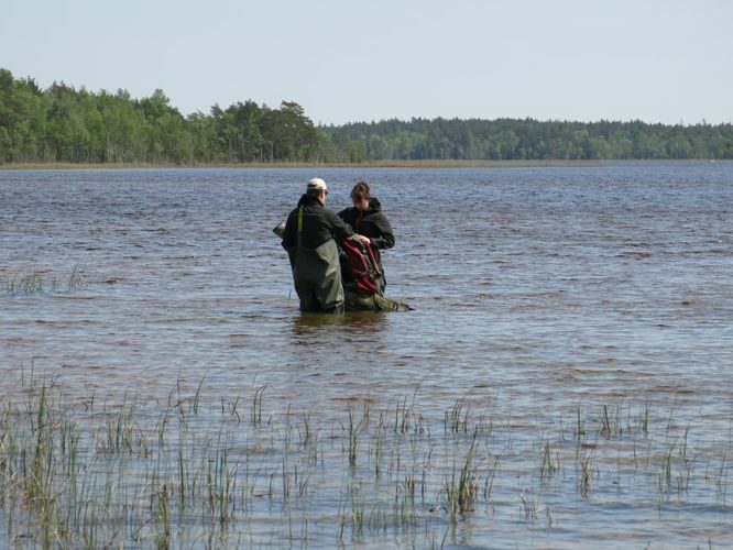 Maakond: Saaremaa Veekogu nimi: Kooru järv Pildistamise aeg: 27. mai 2013 Pildistaja: H. Timm Pildistamise koht: teadmata Asimuut: