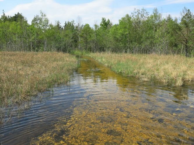 Maakond: Saaremaa Veekogu nimi: Kooru järv Pildistamise aeg: 27. mai 2013 Pildistaja: H. Timm Pildistamise koht: teadmata Asimuut: