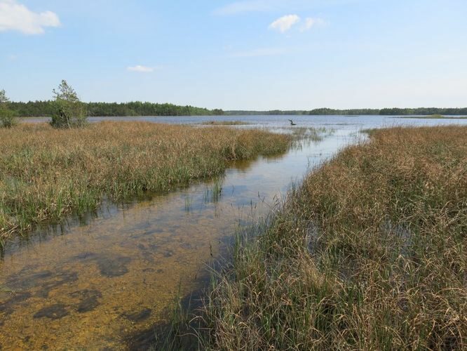 Maakond: Saaremaa Veekogu nimi: Kooru järv Pildistamise aeg: 27. mai 2013 Pildistaja: H. Timm Pildistamise koht: teadmata Asimuut: