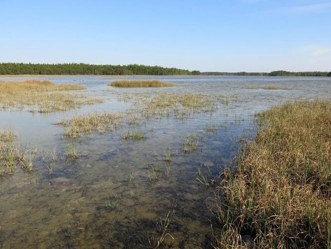 Maakond: Saaremaa Veekogu nimi: Kooru järv Pildistamise aeg: 22. mai 2014 Pildistaja: H. Timm Pildistamise koht: teadmata Asimuut: