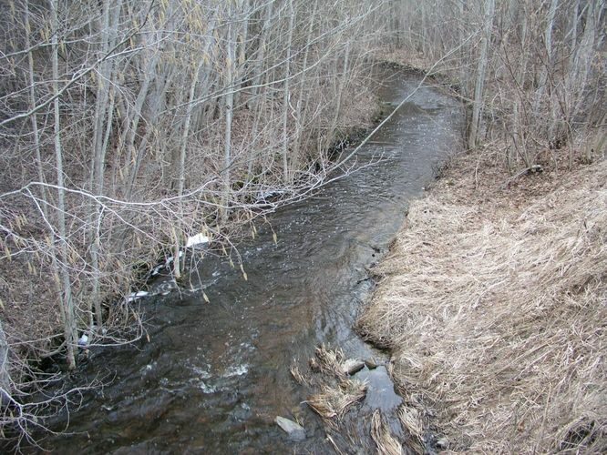 Maakond: Läänemaa Veekogu nimi: Kõrtsioja Pildistamise aeg: 19. aprill 2006 Pildistaja: H. Timm Pildistamise koht: sillalt Asimuut: