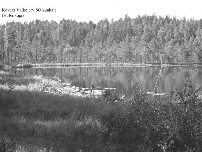 Maakond: Põlvamaa Veekogu nimi: Kõvera Väikojärv Pildistamise aeg: teadmata Pildistaja: H. Riikoja Pildistamise koht: SE k Asimuut: