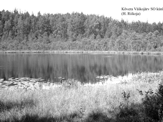 Maakond: Põlvamaa Veekogu nimi: Kõvera Väikojärv Pildistamise aeg: teadmata Pildistaja: H. Riikoja Pildistamise koht: SE k Asimuut: