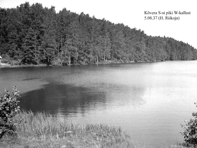 Maakond: Põlvamaa Veekogu nimi: Kõverajärv Pildistamise aeg: 5. august 1937 Pildistaja: H. Riikoja Pildistamise koht: piki W kallast Asimuut: NNW