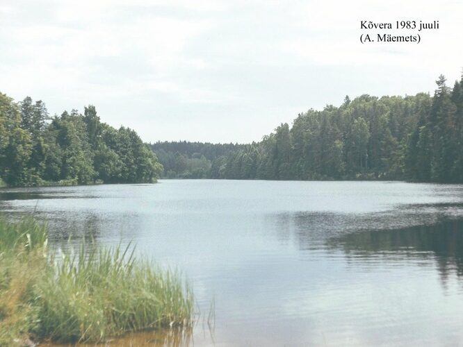 Maakond: Põlvamaa Veekogu nimi: Kõverajärv Pildistamise aeg: august 1983 Pildistaja: A. Mäemets Pildistamise koht: teadmata Asimuut: