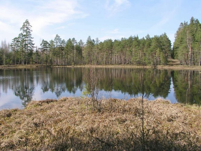 Maakond: Põlvamaa Veekogu nimi: Kõvõra Tahojärv Pildistamise aeg: 5. mai 2003 Pildistaja: H. Timm Pildistamise koht: teadmata Asimuut: