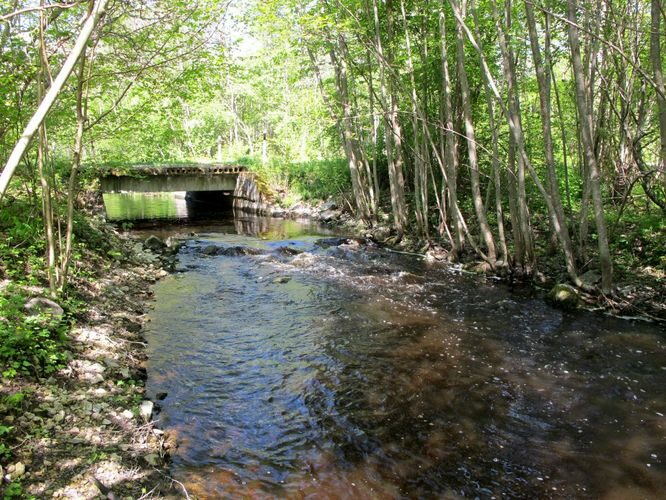 Maakond: Saaremaa Veekogu nimi: Kuke pkr. Pildistamise aeg: 22. mai 2011 Pildistaja: H. Timm Pildistamise koht: alamjooksu sild Asimuut: